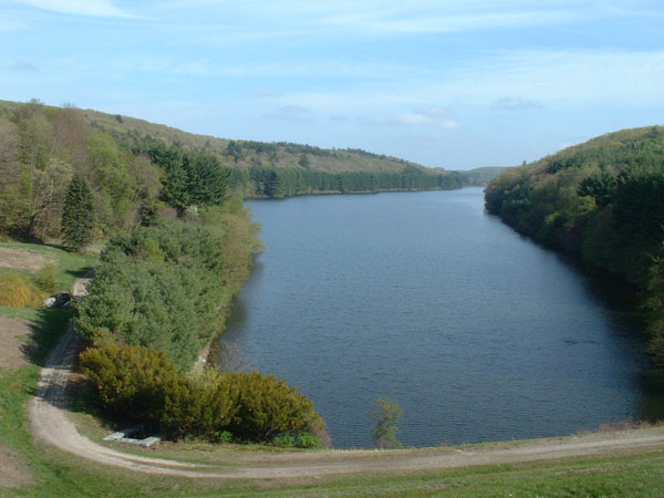 DSCF0040