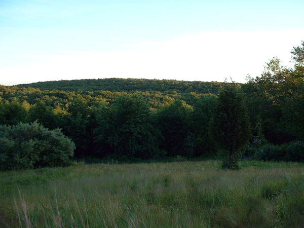DSCF0059