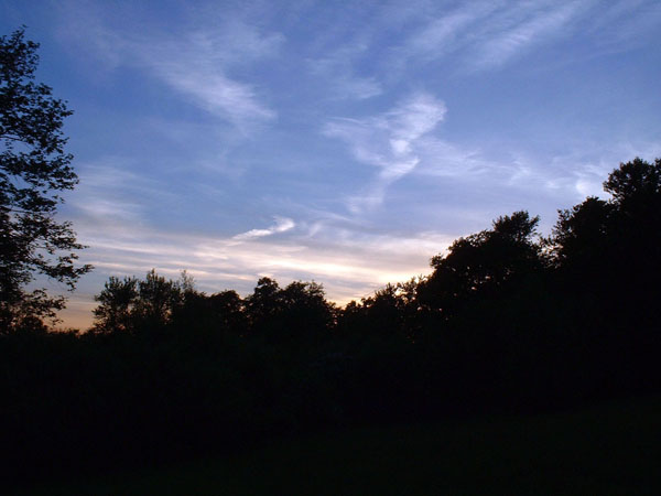 DSCF0113