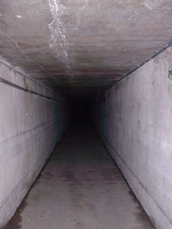 DSCF0113