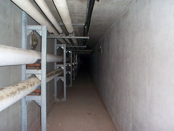 DCP02281